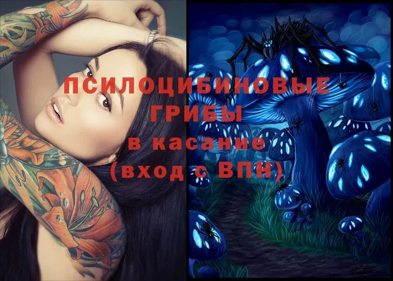 Псилоцибиновые грибы Magic Shrooms  kraken как войти  Раменское 